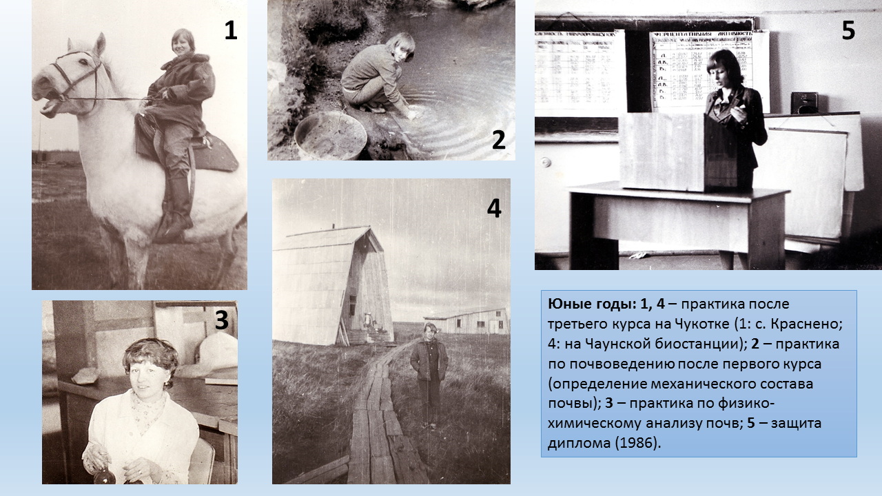 volvenko 01