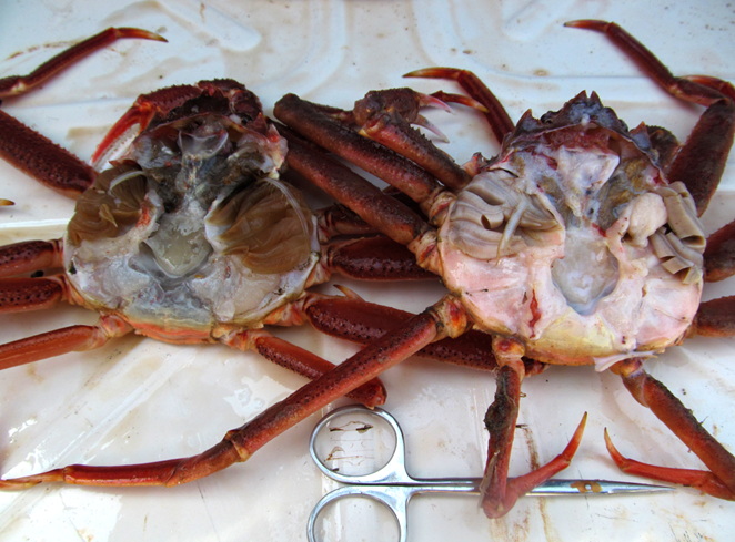 nscmb 2023 most important 01